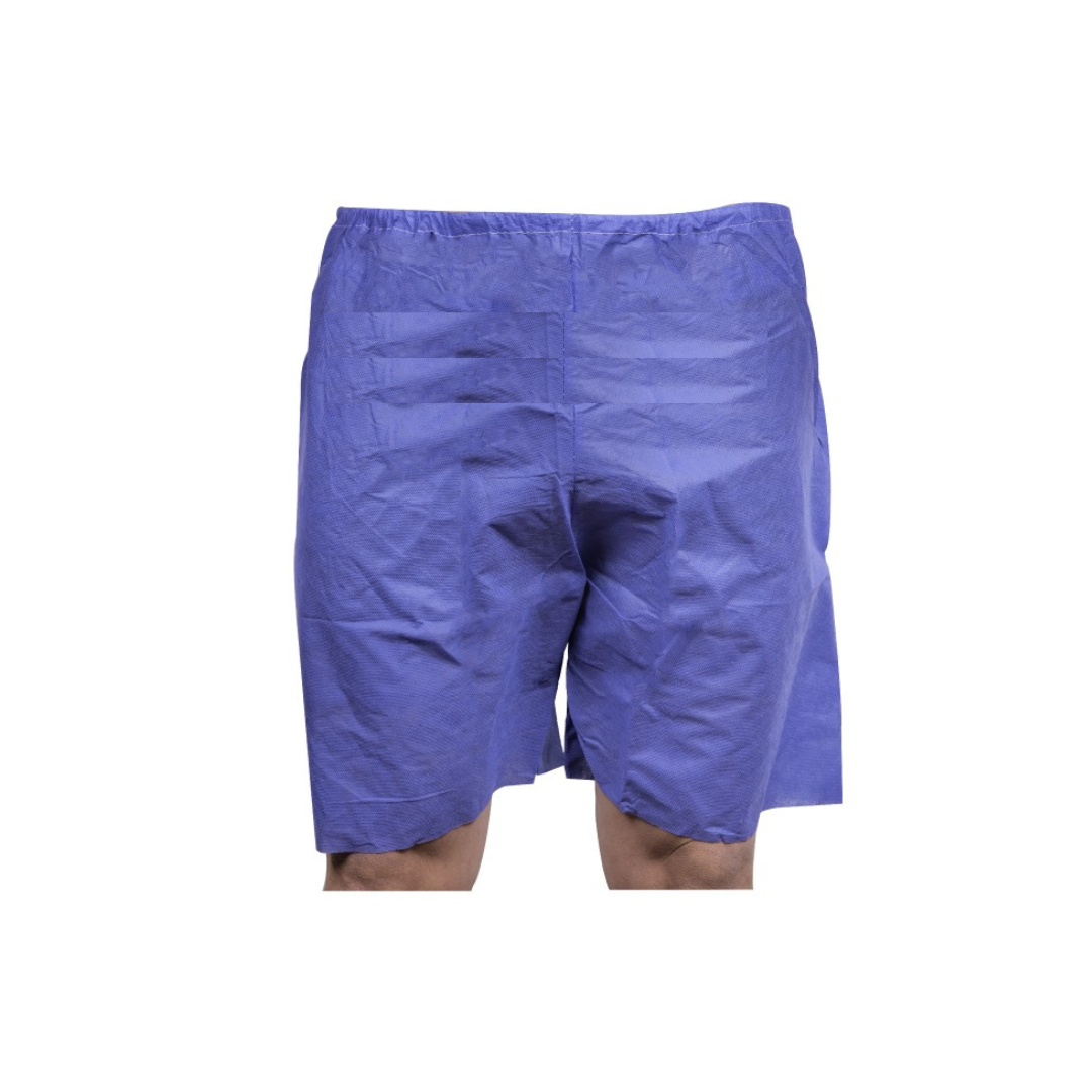 Boxer paciente adulto